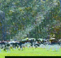 Boyanup - Tourism Canberra