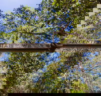 Bribie Island Bicentennial Trails - Tourism Canberra