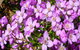 Broadwater National Park - thumb 1