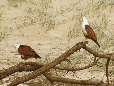 Broadwater National Park - Tourism Canberra 2