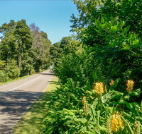 Broughton Vale