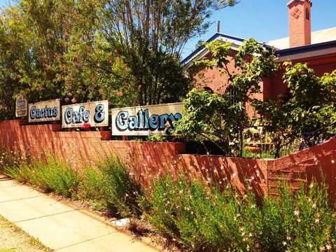 Cactus Cafe And Gallery - Tourism Canberra 0