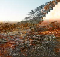 Chick Hill Walk - Tourism Canberra