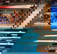 Dive Into History at Sydney Olympic Park Aquatic Centre - Tourism Canberra