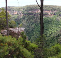 East Rim wildflower walking track - Tourism Canberra