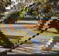 Europa Anchor - Tourism Canberra