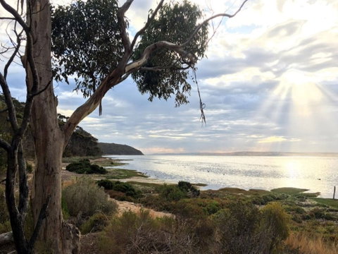 Fish Cannery Walking Trail - Tourism Canberra 0