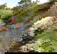 Gold Panning Deep Creek - Tourism Canberra