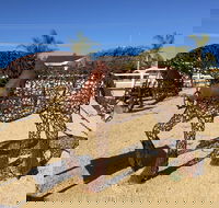 Gundersen Reserve - Tourism Canberra