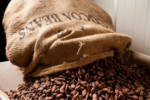 Haigh's Chocolates Visitor Centre - Tourism Canberra 2