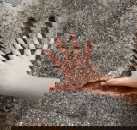 Hands of Fame Park - Tourism Canberra