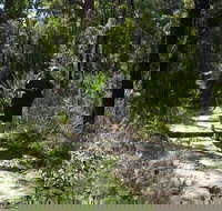 Karloo Walking Track - Tourism Canberra