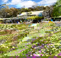 Kate's Berry Farm - Tourism Canberra