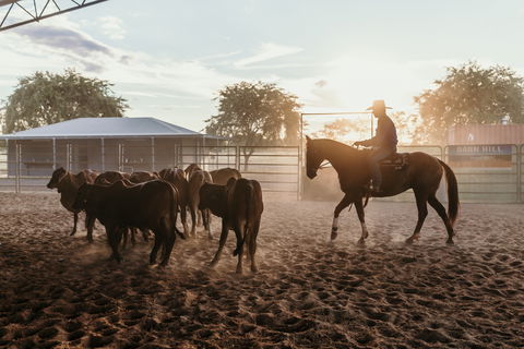 Katherine Outback Experience - Horse Riding Experience - Tourism Canberra 2
