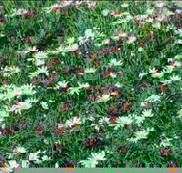 Milton - Tourism Canberra