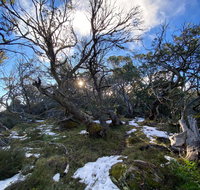 Mount Torbreck Summit Walk - Tourism Canberra
