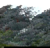 Mount Yarrowyck Nature Reserve - Tourism Canberra