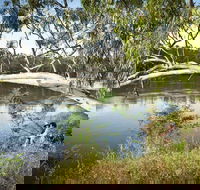 Murray Valley National Park - Tourism Canberra
