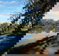 Murray River National Park - Katarapko - Tourism Canberra