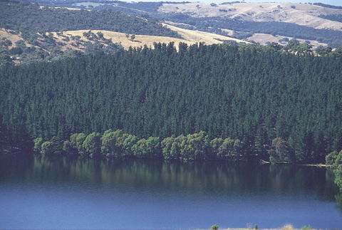 Myponga Reservoir Lookout - Tourism Canberra 0