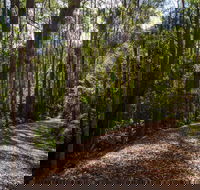 Myrtle Scrub Scenic Drive - Tourism Canberra
