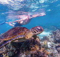 Ningaloo Marine Park - Tourism Canberra