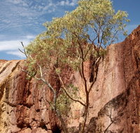 Ochre Pits - Tourism Canberra