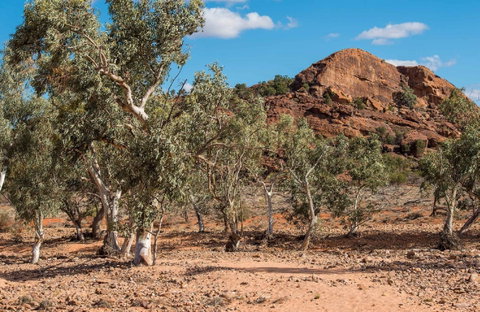 Old Coach Road Drive - Tourism Canberra 0