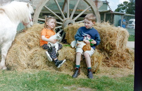 Rain Hayne And Shine Farmyard - Tourism Canberra 0