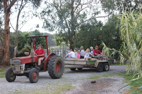 Rain Hayne And Shine Farmyard - Tourism Canberra 1