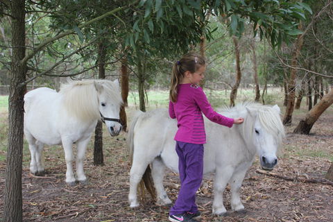 Rain Hayne And Shine Farmyard - Tourism Canberra 2