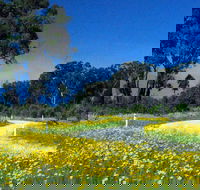 Shearer's Way - Tourism Canberra
