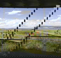 Tamar Island Wetlands Centre and Reserve - Tourism Canberra