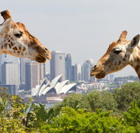 Taronga Zoo Combo Pass - Tourism Canberra