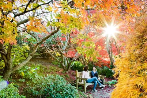 The Blue Mountains Botanic Garden, Mount Tomah - Tourism Canberra 0
