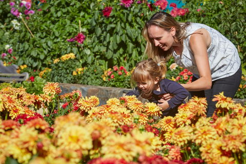 The Blue Mountains Botanic Garden, Mount Tomah - Tourism Canberra 1