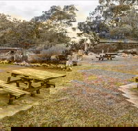 Thredbo River picnic area - Tourism Canberra