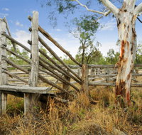 Wandoan - Tourism Canberra