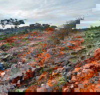 Western Ridge Walk - Tourism Canberra