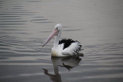 Woolley's Beach Walk - Tourism Canberra 1