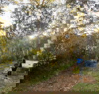 Yarrangobilly Caves  River walk - Tourism Canberra