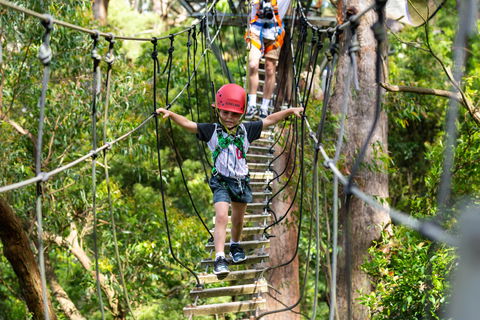 Zipline At Illawarra Fly - Tourism Canberra 1