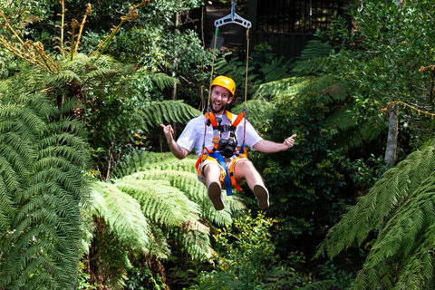Zipline At Illawarra Fly - Tourism Canberra 2
