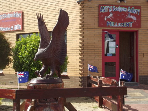 Ant's Redgum Gallery - Tourism Canberra 0