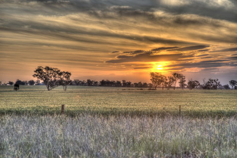 Ardlethan - Tourism Canberra 2