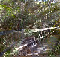 Awaba Bay Foreshore Walk - Tourism Canberra
