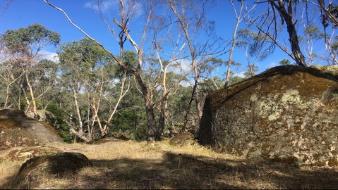 Bailey's Rocks - Dergholm State Park - Tourism Canberra 0