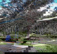 Barrington Tops State Forest - Tourism Canberra