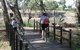 Bidgee Riverside Trail  - Hay Nature Walk - thumb 0