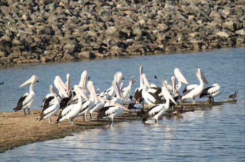 Bjelke-Petersen Dam - Tourism Canberra 2